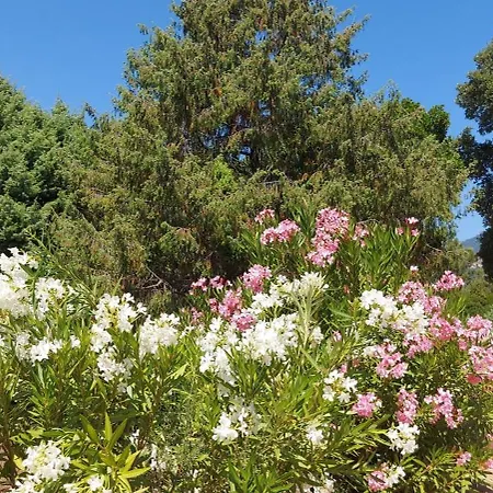 Riviera Apartmanhotel