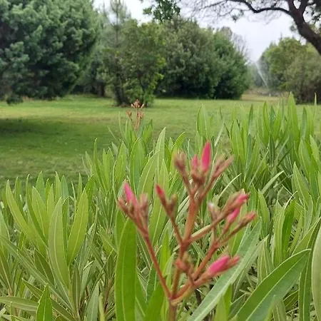 Lejlighedshotel Riviera Porto-Vecchio (Corsica)