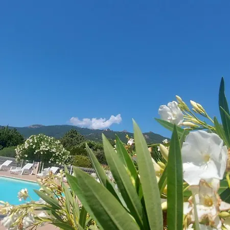 Riviera Lejlighedshotel 3*