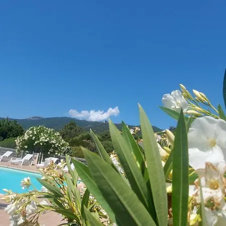 Riviera Lejlighedshotel Porto-Vecchio (Corsica)