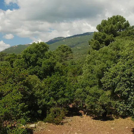 Riviera Lejlighedshotel Porto-Vecchio (Corsica)