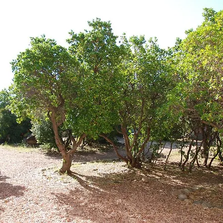 Lägenhetshotell Riviera Porto-Vecchio (Corsica)