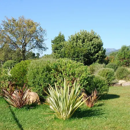 Riviera 2* Porto-Vecchio (Corsica)