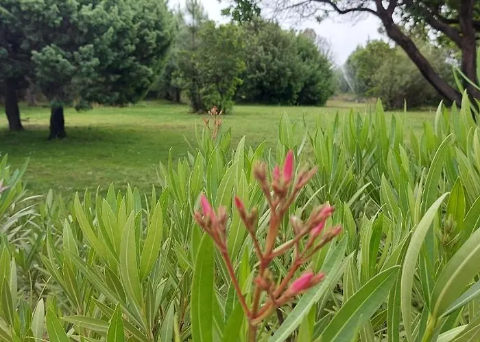 Aparthotel Riviera Porto Vecchio