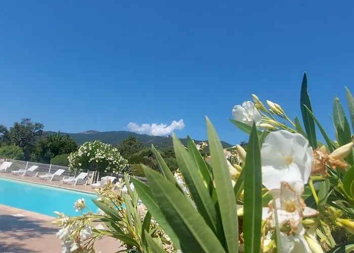 Riviera Lägenhetshotell Porto-Vecchio (Corsica)