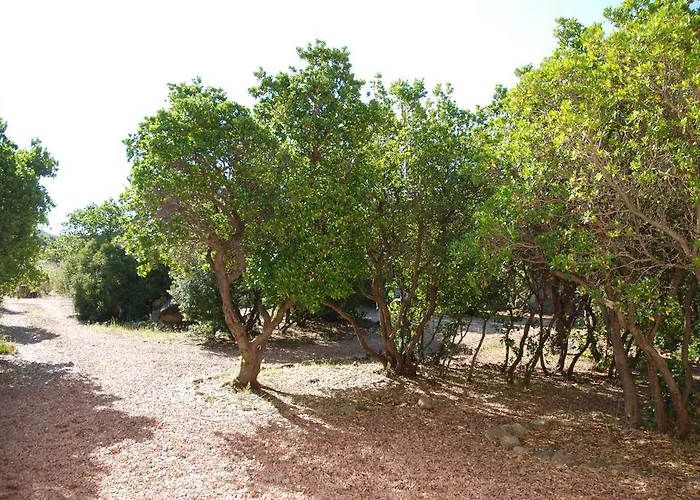 Aparthotel Riviera Porto Vecchio