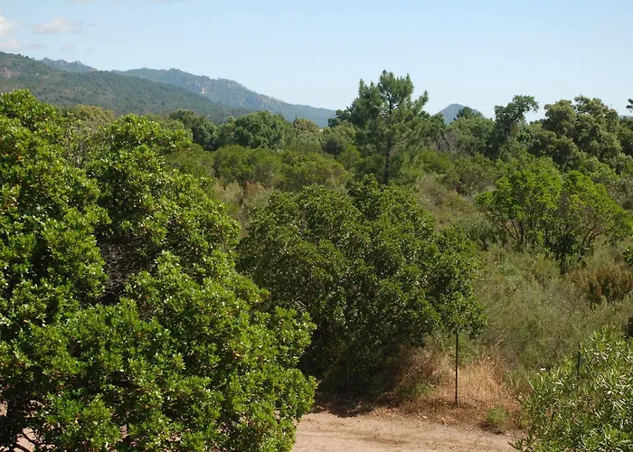 Riviera Aparthotel 3*