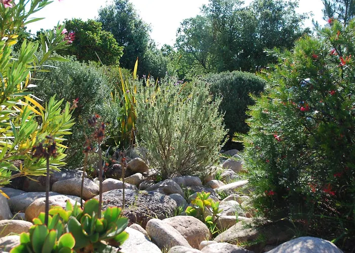 Riviera Aparthotel 3*